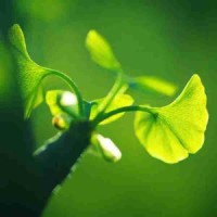 话:虞姬被刘邦射死,中箭的部位太尴尬了,项羽彻