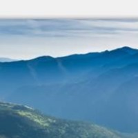 汪汪队立大功,阿宝船长听到悲伤的人鱼狗之歌