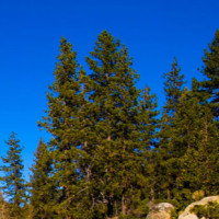 快乐大本营 白敬亭邓伦领舞《羞愧舞》, 跳得一