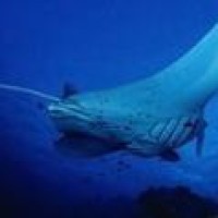 两分钟看完妮可基德曼颜值巅峰作品