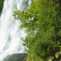 吃货系列 最简单的家常红烧鲤鱼做法