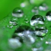 爱丽丝梦游仙境大结局,经典中的经典,这句台词