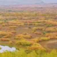 迷你世界版恐怖的爱情巧克力与岩浆并存