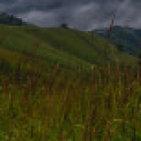 汪汪队立大功,毛毛一个人扮演莱德和五只狗狗