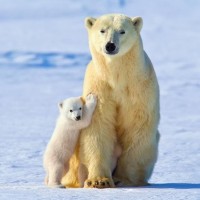 宫锁心玉:女子偶遇剧组拍摄,因剧本篡改历史而