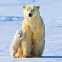 《归来去》缪盈绿卡终于找到了失踪的成然,萧