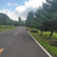 世界杯现场网友偶遇李连杰,正在手舞足蹈指挥