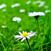 直男肌肉帅哥,公共场合当众表演撕衣服身材真