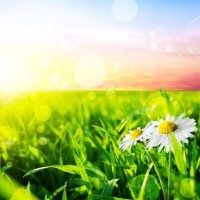 指尖陀螺的花式玩法,你学会了么?