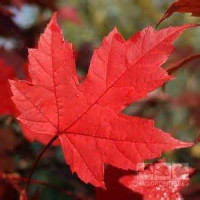 美女为了钱,竟然连导演的这种要求都能答应!