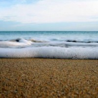 新婚公寓:米菠萝是属于所有勇士的,来自宅男的