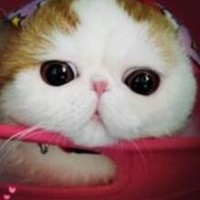 斗鱼真的算鱼吗?赏金3亿以下连在鱼群攻击中