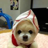 男子坐牢30年,出来后想学人家碰瓷,不料一碰就