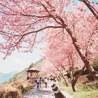 汪峰《爱你的方式》,我爱你的焦虑爱你偏执,一