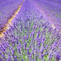 一首《男人的痛你永远不会懂》DJ舞曲版 嗨起