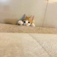 小伙参观巨蟒窟,还没回过神来就被偷袭瞬间倒