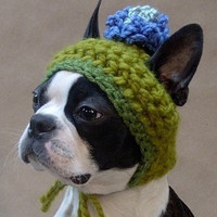 小伙用塑料瓶做的捕猎神器,一天捕了10多只鸽