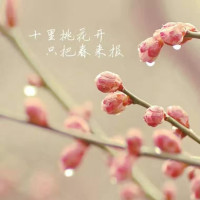 王者荣耀:剑仙成名之战!