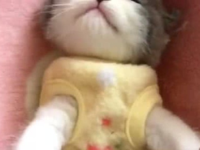 生孩子前后的9个奇怪现象,科学都无法解释,看