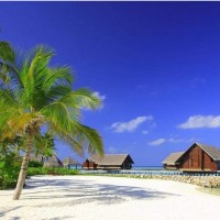 RM:刘在石VJ权烈公认体质最弱?被大家疯狂调