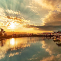 电视剧《篱笆女人和狗》主题曲《苦乐年华》经