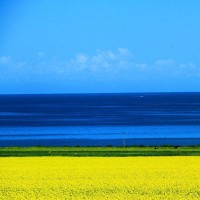 黄渤深情演唱《民兵葛二蛋》主题曲,听完浑身