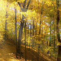 一首《你在我心中永远是最美》DJ舞曲版 醉人