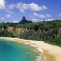 刘銮雄用140万买下的车牌,送给了甘比,来香港