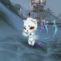 2018怎么开网店教程 如何开网店方法步骤流程