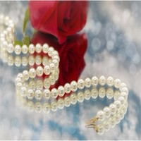 方清平一脸的严肃的说单口相声,也是那么的好