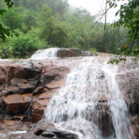 林志玲这样评价黄渤刘德华,能看出还是喜欢黄