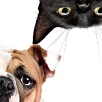 韩宇、胡浩亮微博之夜 带来街舞表演,张艺谋夸