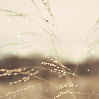 宋小宝小品:宋小宝,袁姗姗,合租一个房子还要轮