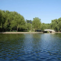 2018世界男排联赛,日本3-1战胜伊朗精彩集锦,