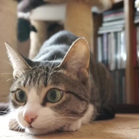 2018年汽车口碑可靠性排行榜出炉