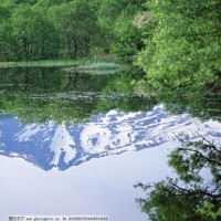 绮翘被蔡学富欺辱陈真无可奈何,怎料少帅出场