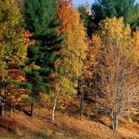 能睡能吃能喝 2018年最新搞笑小品,几乎没人看