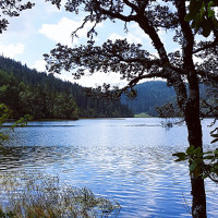 精彩电视剧片段,一刀捅进女八路的肚子,还扬言