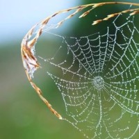 岳云鹏:您多大岁数了上这来,于谦:潘长江都来了