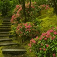 张子萱开直播全程老公不离口,还曝光了陈赫家