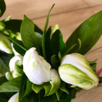 东北黑社会去韩国收高利贷,斧头砍遍韩国