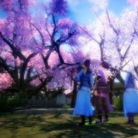 魔兽世界8.0库尔提拉斯德鲁伊旅行形态,确定不