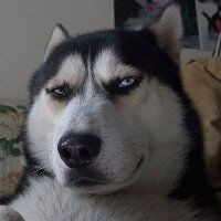 放手的一刹那 抖音上很火的动作,西边的山上有