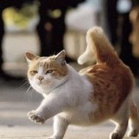 新来数学老师,看到班花关晓彤,竟然呆住了