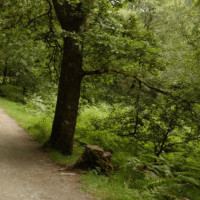 什么情况?中国男足惨败威尔士,国足3名国脚手