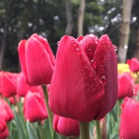 陈柏霖做事细心又周到,古力娜扎在一旁好尴尬