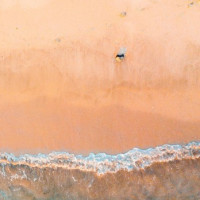 精彩电视剧片段,《当家的女人》菊香为了还债