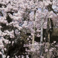 易烊千玺战队韩宇亮亮中国风舞蹈惊艳全场,黄