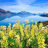 足球:巴洛特利力助意大利获胜,可惜无缘2018世