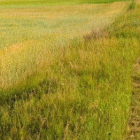 篮球教学视频防守反击对抗投篮PK